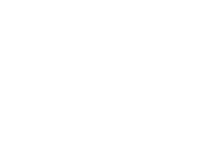 the economist