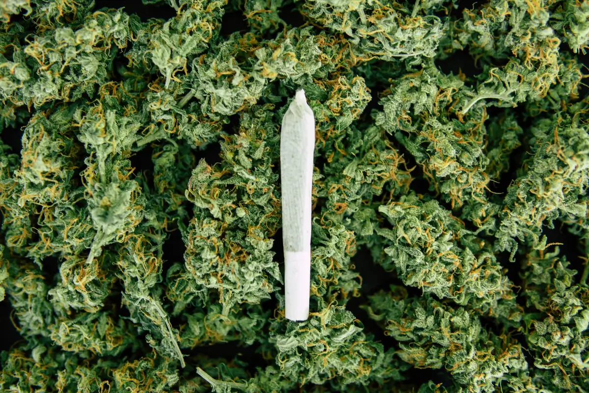 While cannabis is often associated with increased appetite,