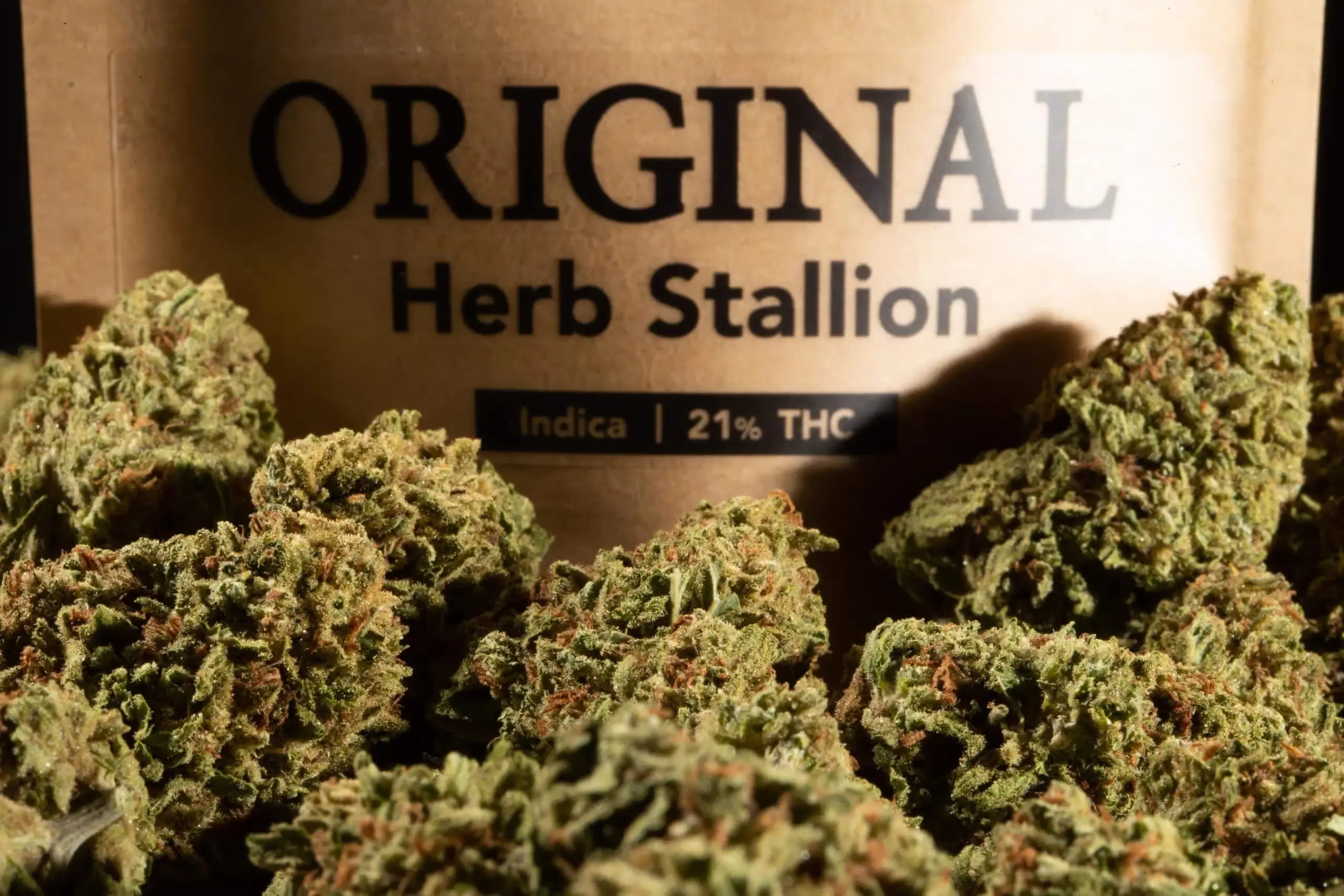 What Does a Weed Plant Look Like? A Closer Look at Cannabis Anatomy