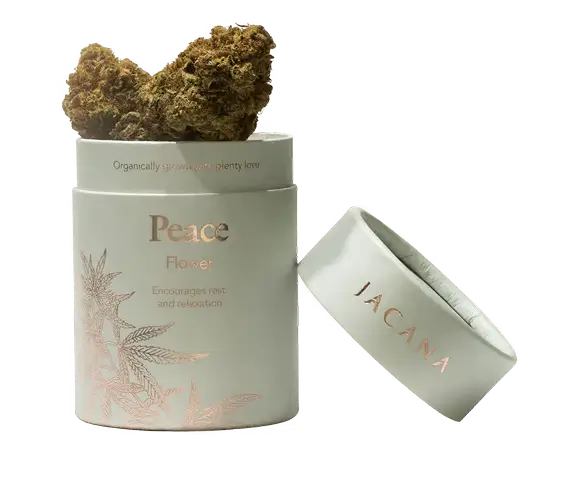 Peace  (INDICA)